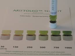 aristoleo2